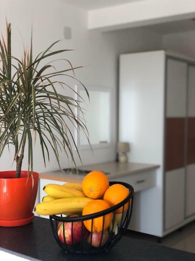 אולסינץ' Apartmani Dini מראה חיצוני תמונה