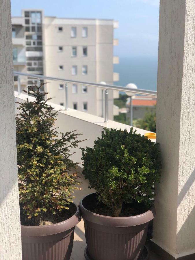 אולסינץ' Apartmani Dini מראה חיצוני תמונה